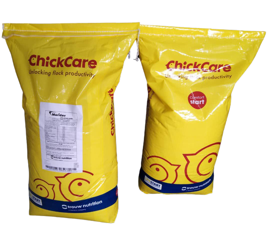 ChickCare Pré-démarrage